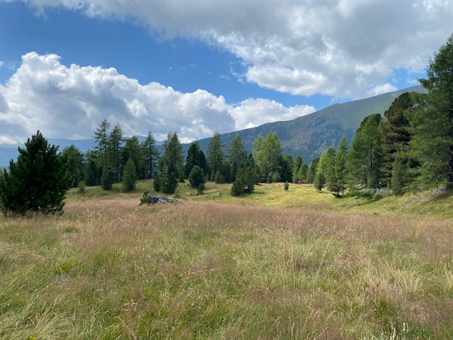 Eine alpine Berglandschaft im Sommer